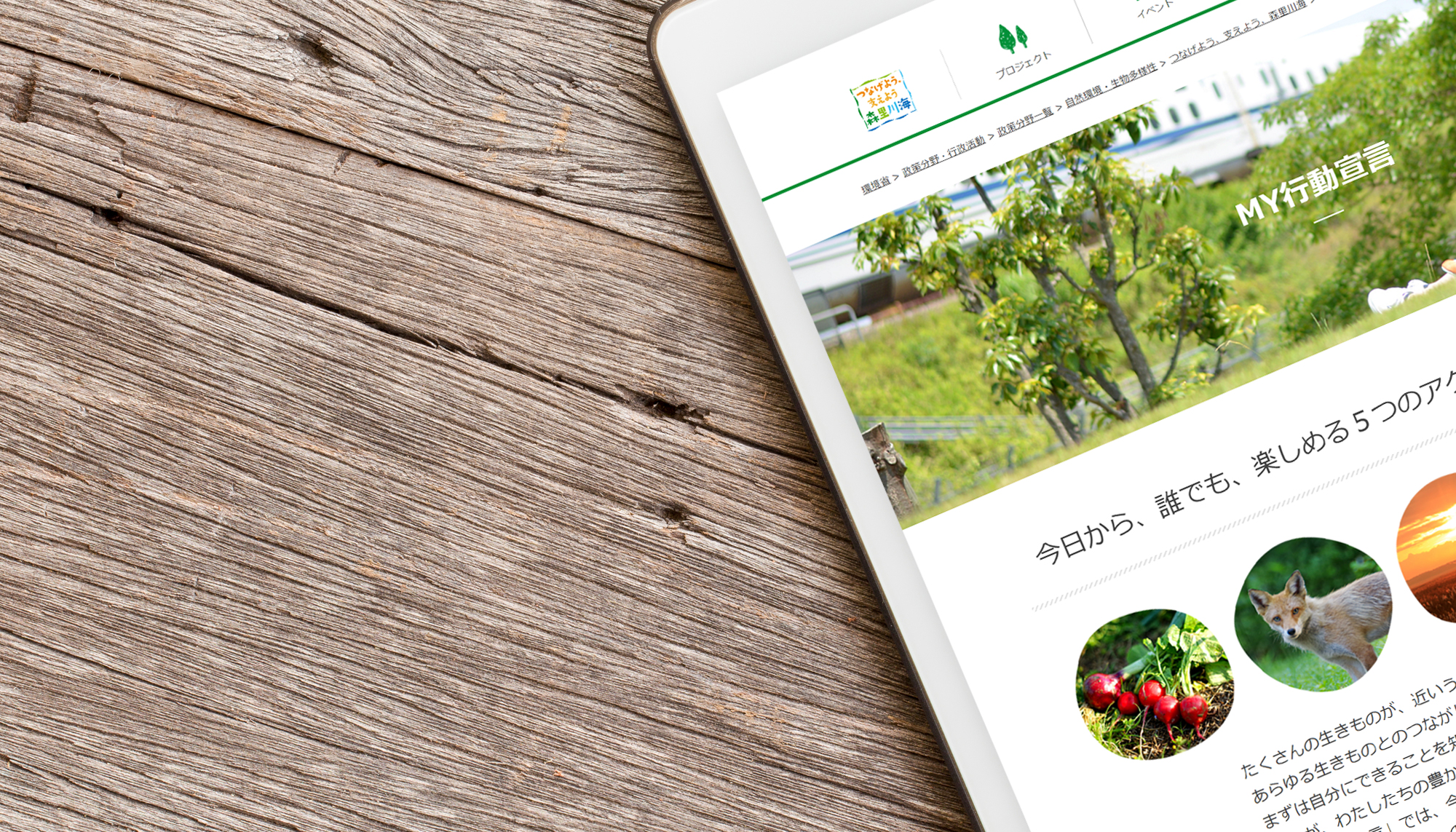 morisatokawaumi_myaction morisatokawaumi_myaction